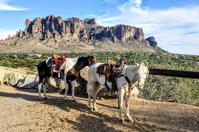 Apache Trail with Dolly Steamboat - Superstition Mountains: the drive, the cactus views, and the museum
