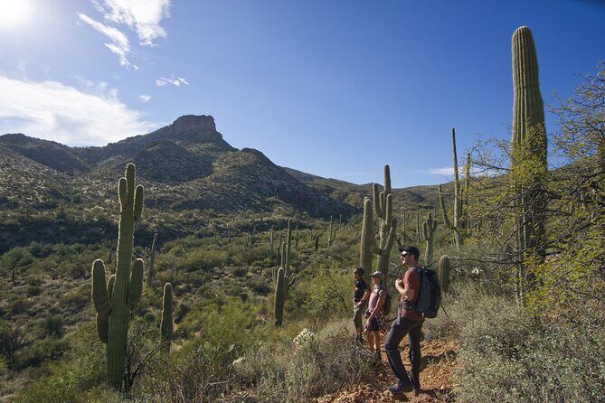 Incredible Hidden Valley Guided Hike in Phoenix, Arizona - Where You Start: Mormon Trailhead, South Phoenix