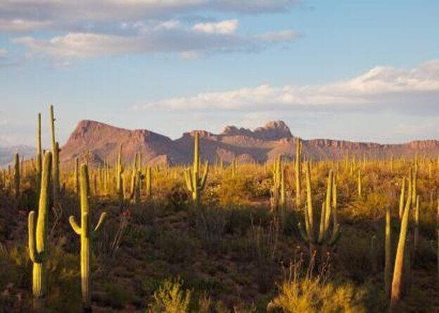 Stunning Sunset or Sunrise Guided Hiking Adventure in Phoenix - Sonoran Desert Sunrise or Sunset: the real reason this hike works